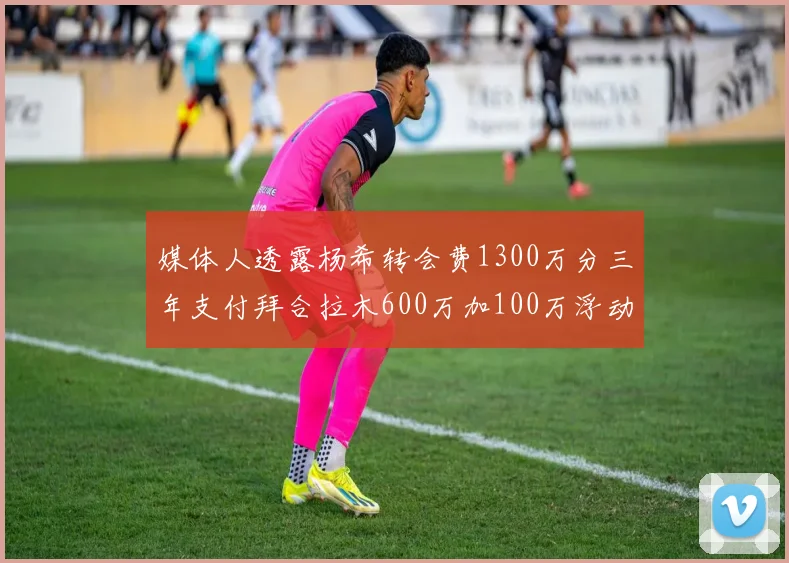 媒体人透露杨希转会费1300万分三年支付拜合拉木600万加100万浮动