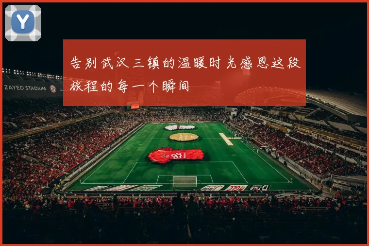 告别武汉三镇的温暖时光感恩这段旅程的每一个瞬间